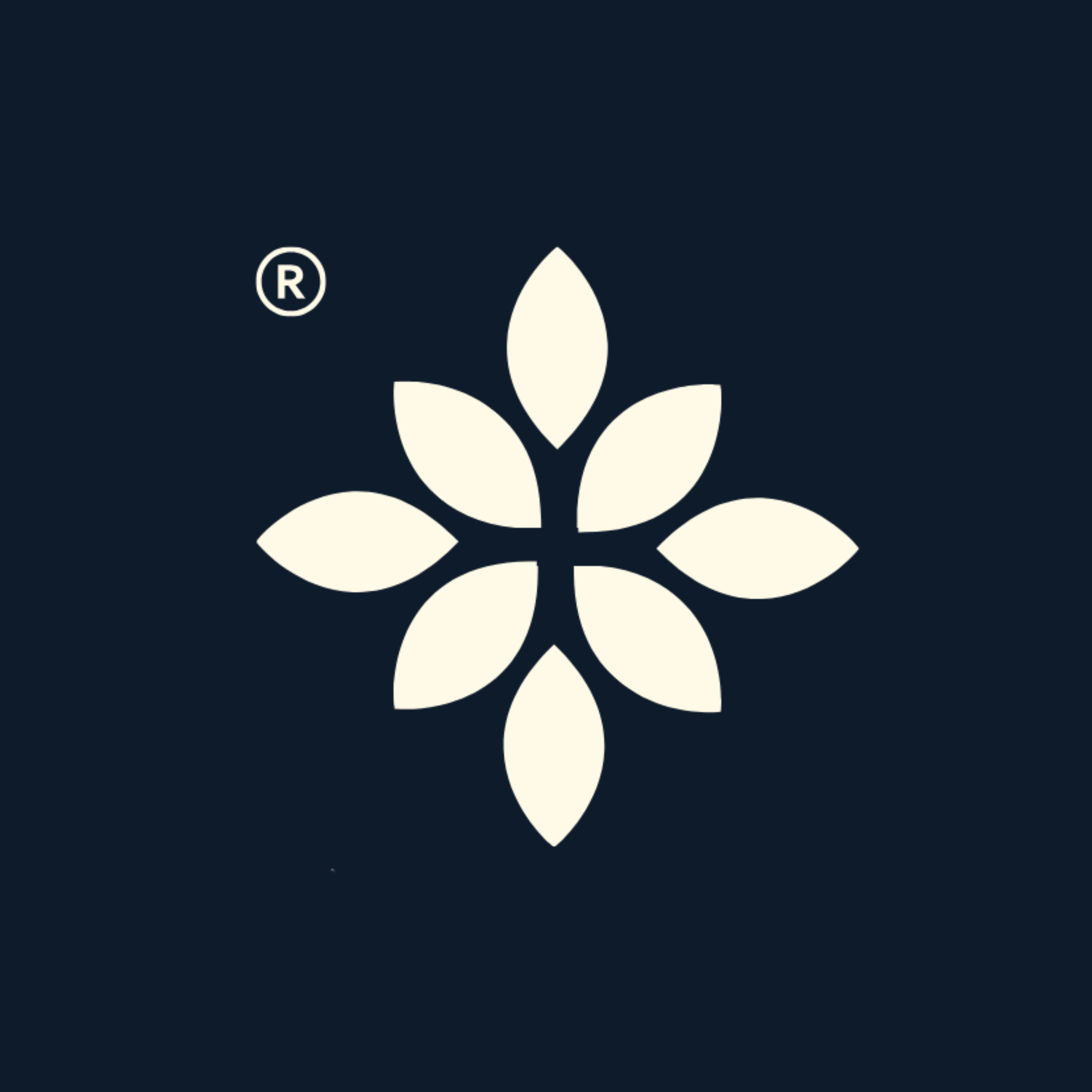 منتجاتنا | Ray Products